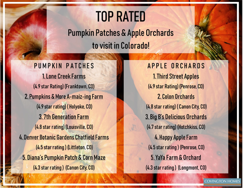colorado pumpkin orchards